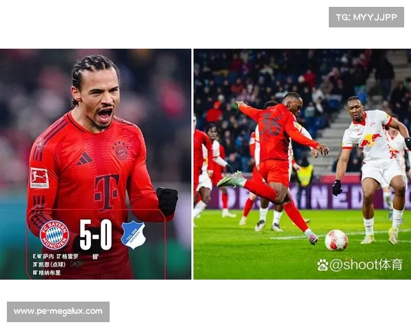 拜仁慕尼黑德甲霸业持续领先的关键因素与成功之道